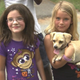 Illustration for article titled Heroic Chihuahua Finds Two Little Girls Lost In Georgia Woods
